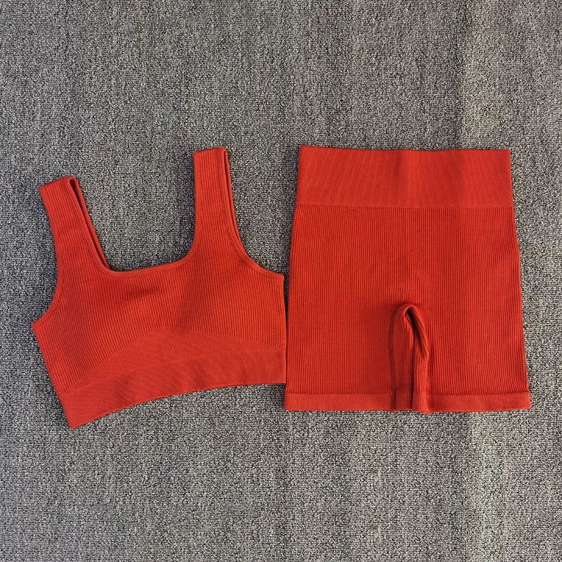 Brick Red Sport Bra and Shorts Set displayed